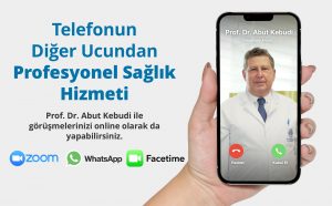 Prof. Dr. Abut Kebudi - Online Görüşme